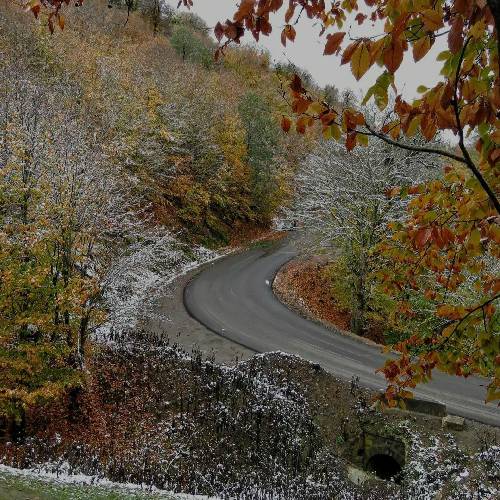  تقدیرم این بود نگاهم کنی هی بلند شم و تو کوتاهم کنی کندی نکن